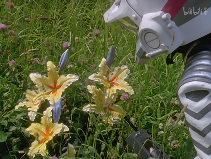 齐杰拉散播出的花粉能使人类沉醉于欢乐无比的美梦之中,使吸入花粉的