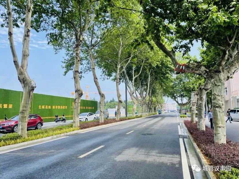用绣花功夫打造精品街巷南京高淳又增一条景观大道