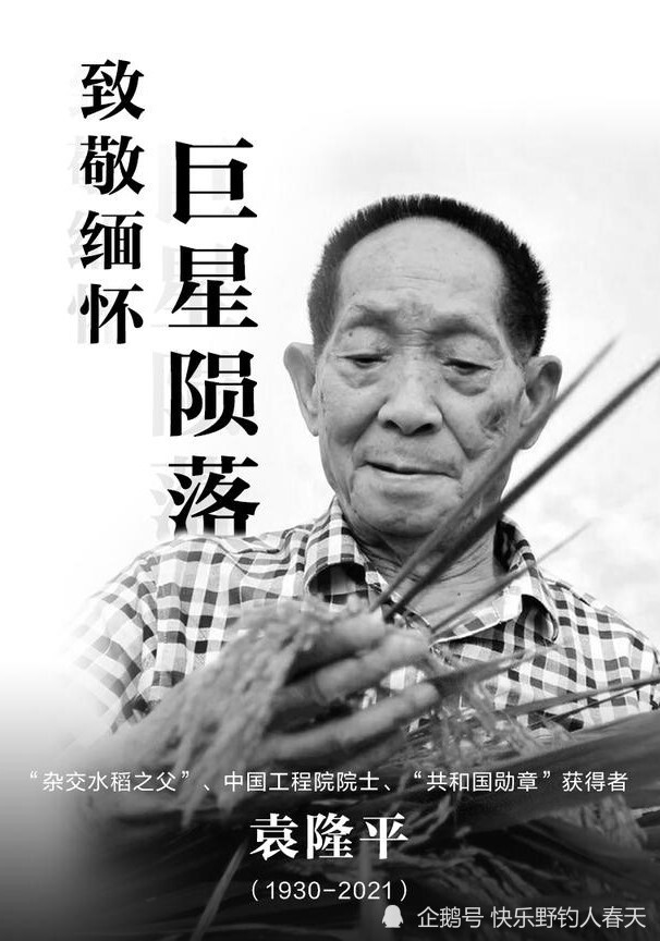 致敬袁老,一路走好