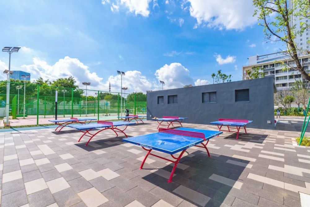 2个网球场,1个排球场,6张乒乓球台