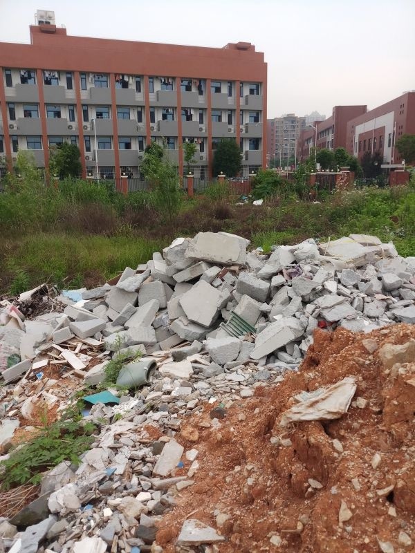 学校附近长期有人倾倒垃圾报道后已清理
