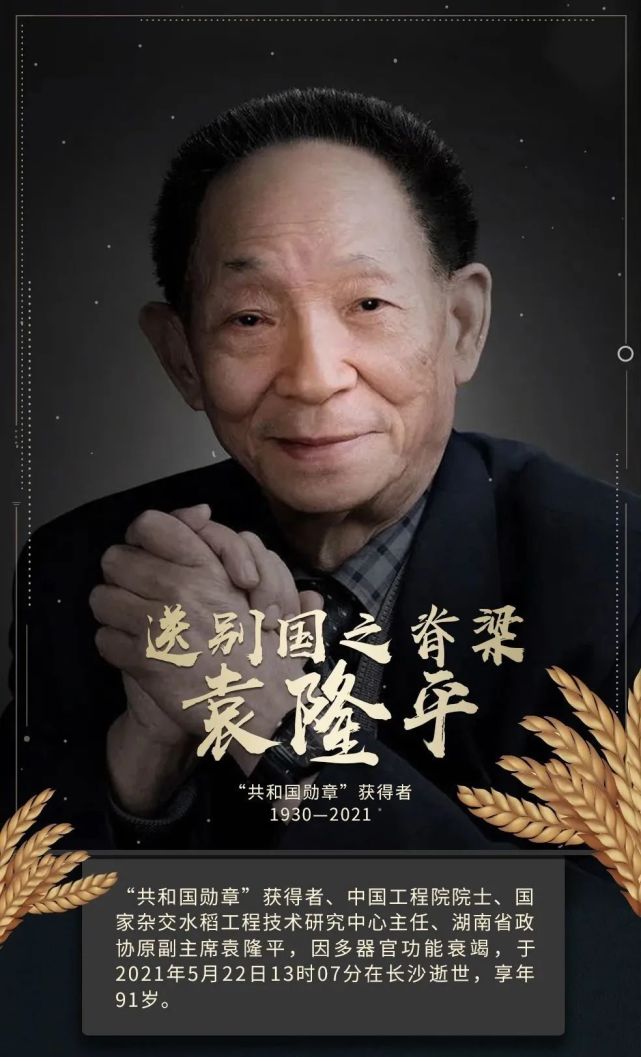 送别国之脊梁袁隆平