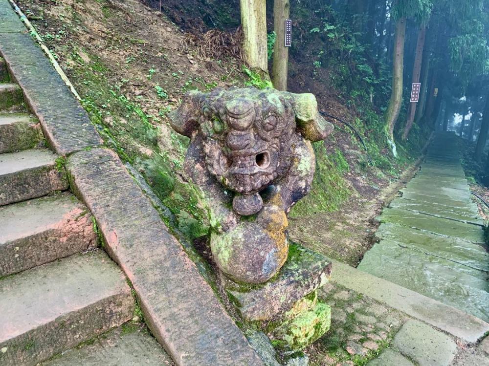 泸州纳溪之巅,普照山圣地_腾讯新闻