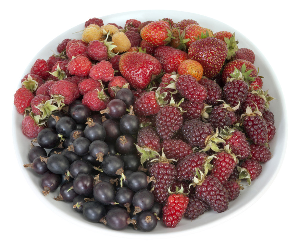 真是活久见,镇江句容一村发财了!