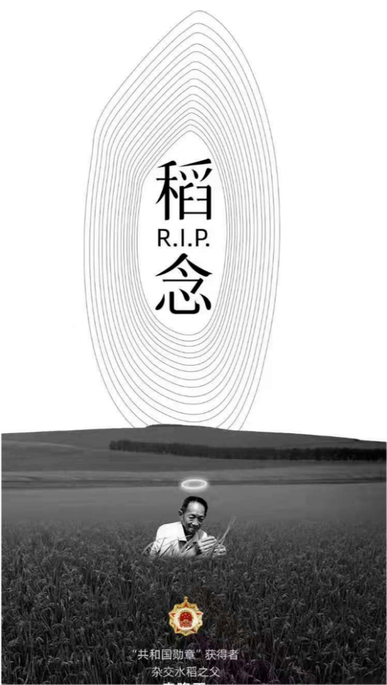 袁隆平:稻田里的"守望者"_腾讯新闻