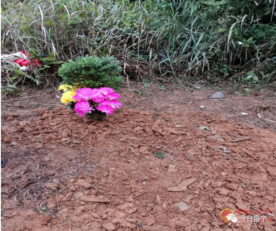 圖為田蓬鎮廟壩村委會易某骨灰生態安葬地