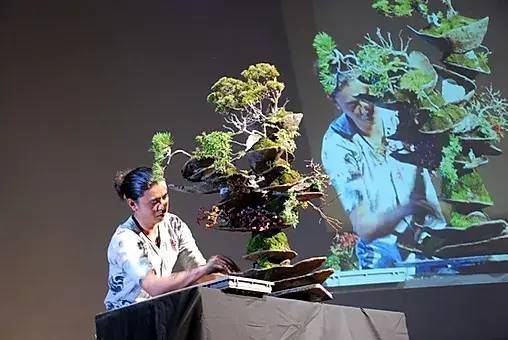 一米阳台 独特的盆景世界 日本小伙真敢想 腾讯新闻