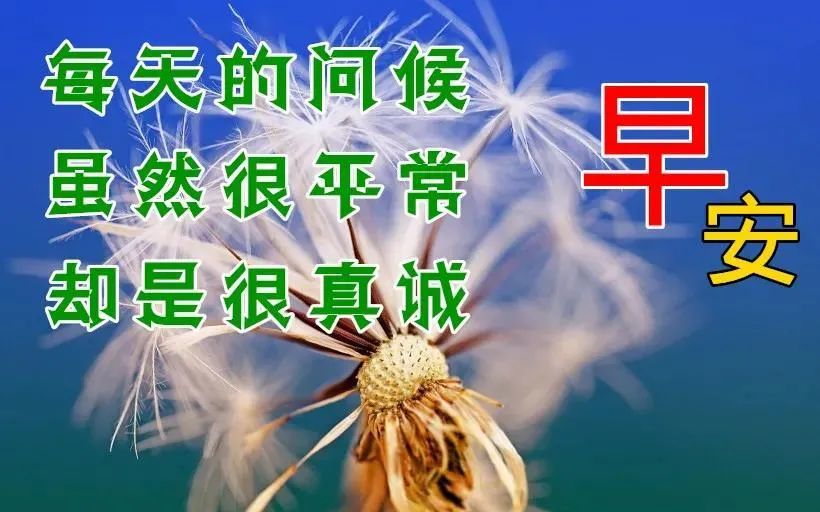 微信漂亮的早上好带字早安祝福图片早安问候祝福语动态漂亮图片