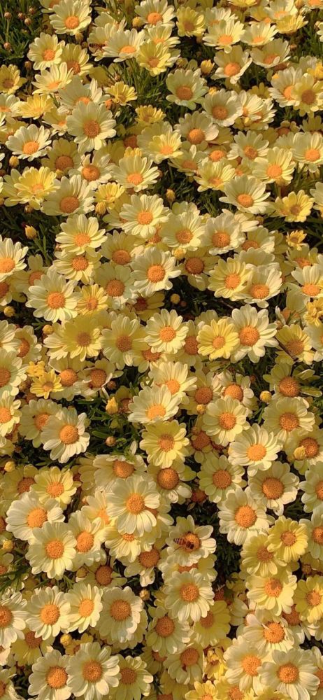 全面屏壁纸|ins风壁纸原图_腾讯新闻