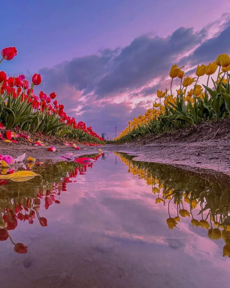 能让简单的画面变得富有内涵,更具艺术感