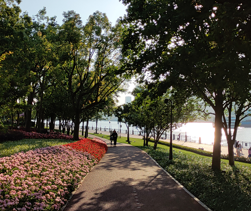 景观新风尚城市绿色呼吸上海滨江绿地