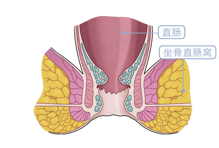 坐骨直肠窝内脂肪被吸收因全身营养不良1,营养不良四,好好的人,咋就