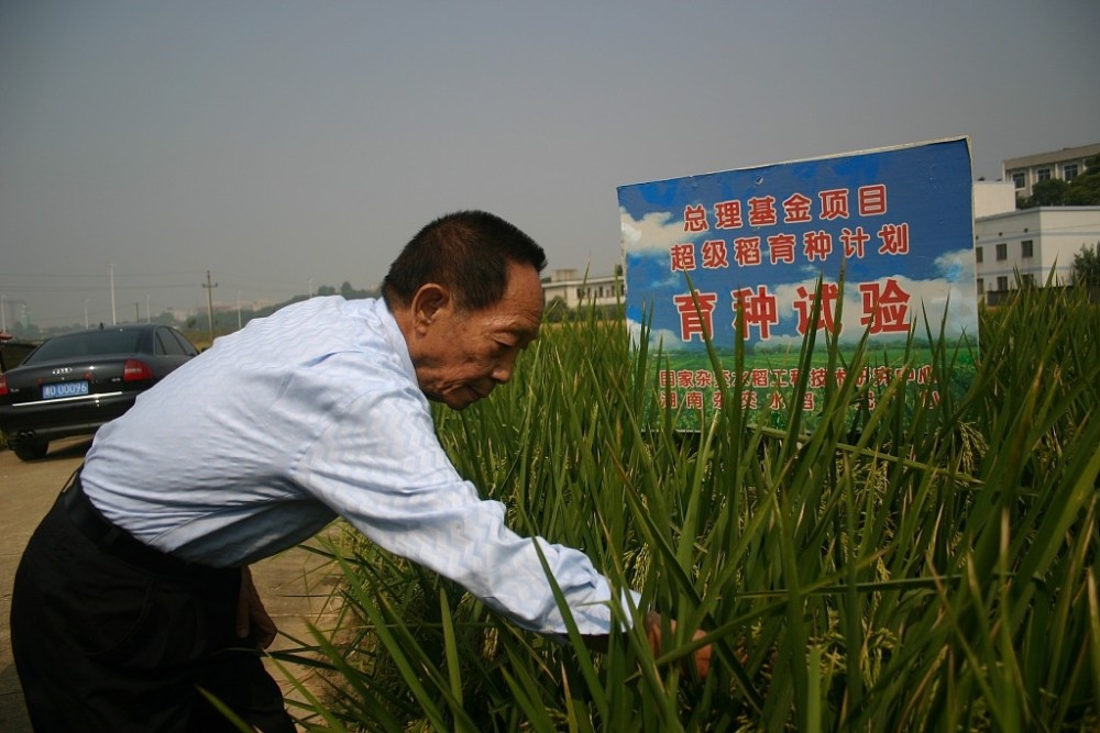 感谢袁老让我家的悲剧没有再重演伟大的袁老一路走好