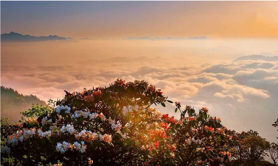 神仙眷侣必去的仙境今天推荐给你