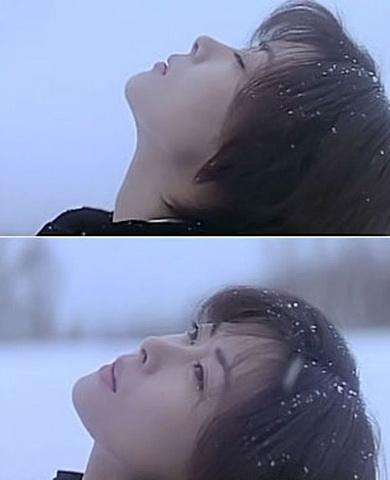 《情书》经不住似水流年,逃不过此间少年,哪些没有开口的表白最终