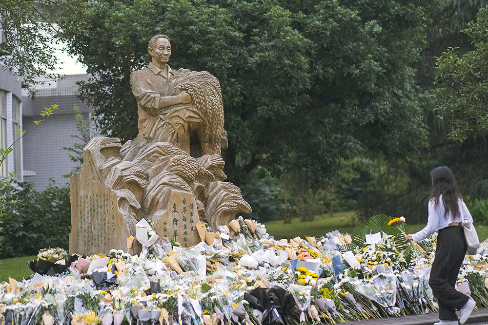 图集各地民众送别袁隆平袁爷爷一路走好