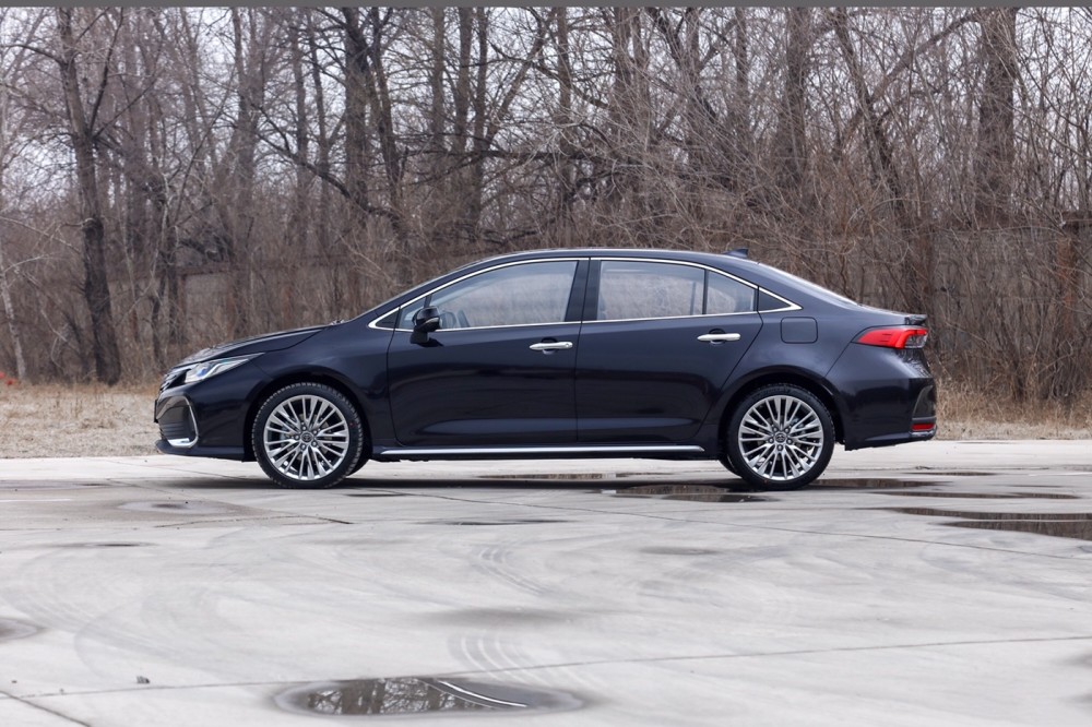 真硬气亚洲狮卡罗拉l