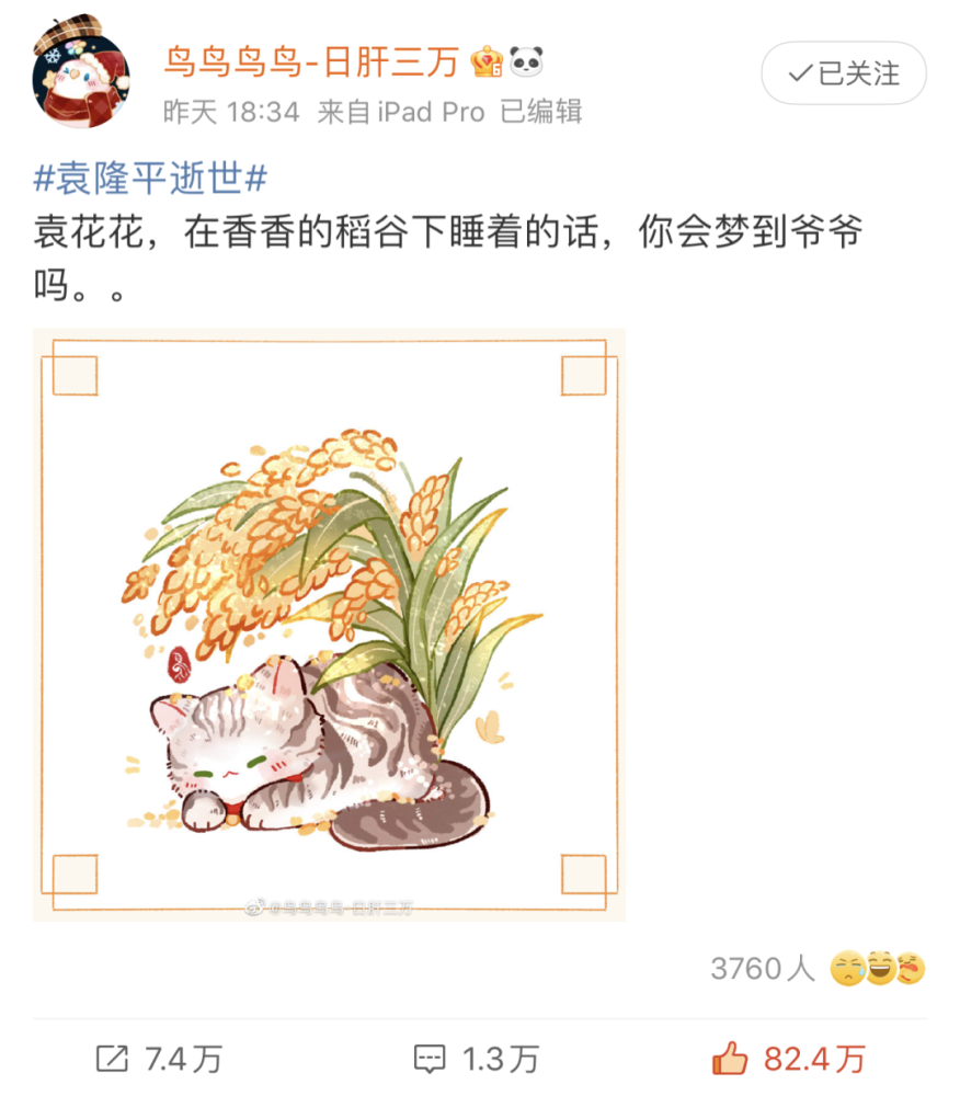 袁隆平爷爷家的猫走丢被我捡到了