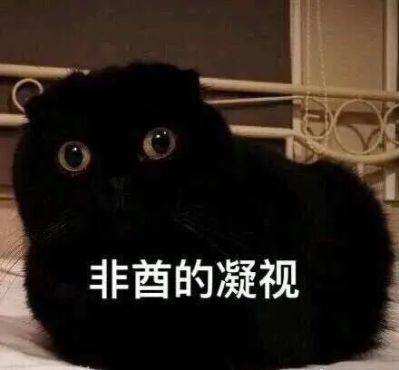 非酋的凝视闭上双眼不理凡事100个飞吻施主要是没事就闭嘴吧姐姐怎么