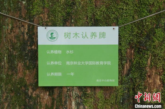 在接下來的時間裡,南林學子可憑中山植物園發放的