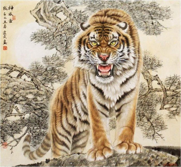 生肖虎财富运势图(生肖虎财富运势图片大全)