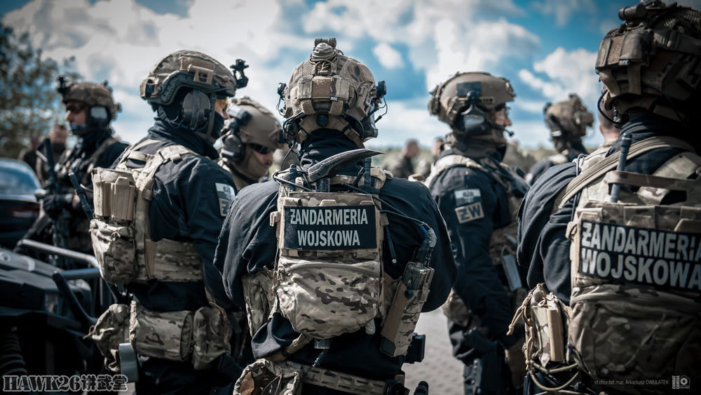 波兰举行反劫机演习 精锐反恐特种部队揭开神秘面纱 处理突发事件