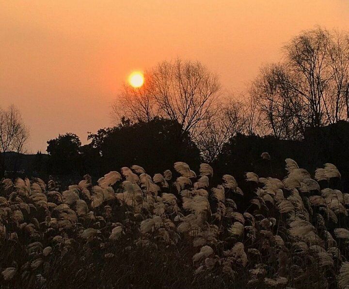 里面多了一张纸条 勿忘我 记在手机上的丧气话被爸爸看到啦.