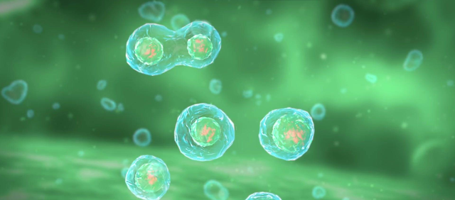 唯一拥有不死细胞的人类 科学家从她身上偷走样本 如今该还债了 腾讯新闻