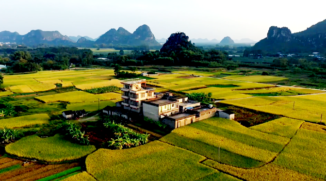 "全媒体 为农服务"等新模式,由崇左广播电视台,崇左乡村振兴办,广西农
