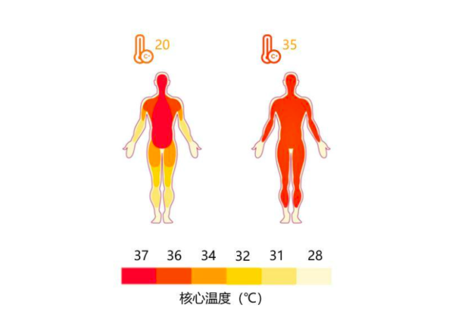 641
