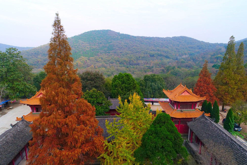 一生未曾做官的孟浩然隐居鹿门山把山水田园诗打磨成个人品牌