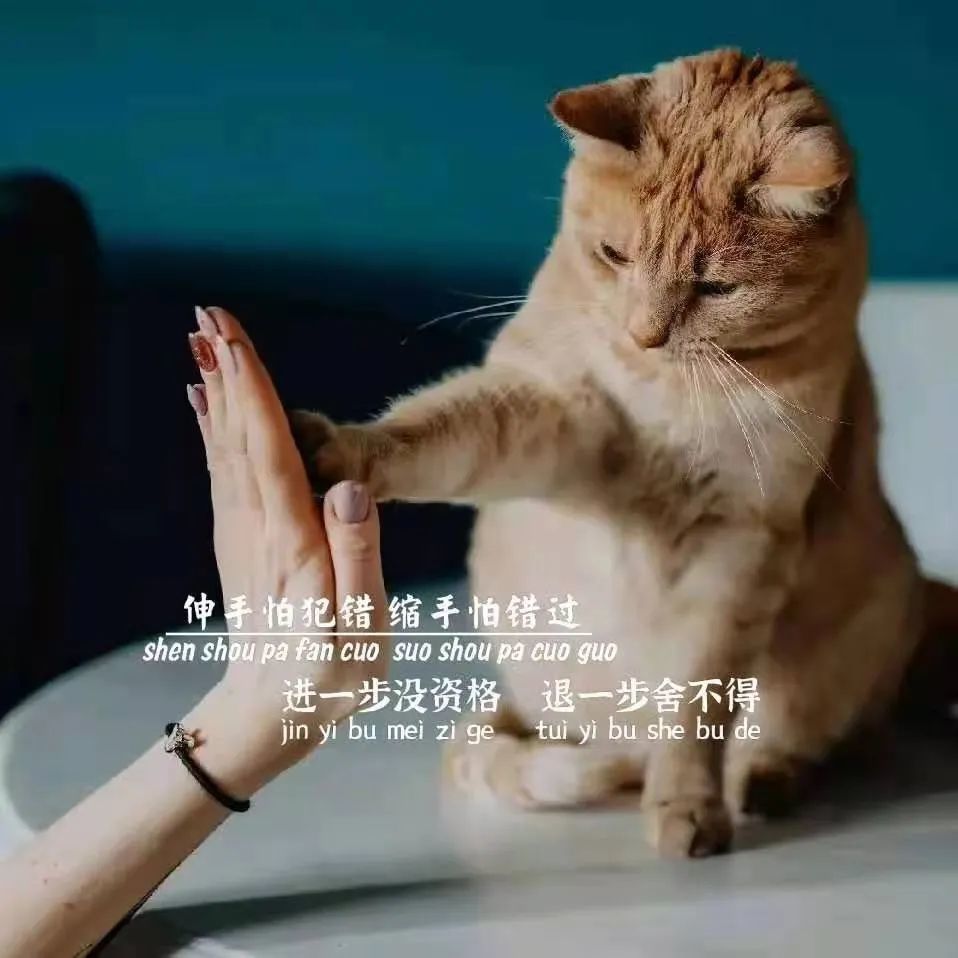 抖音热门朋友圈背景图