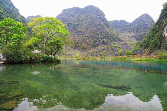 巴馬盤陽河巴馬盤陽河風景區也叫長壽河風景區,盤陽河源於鳳山縣橋音