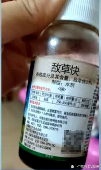 13岁少女偷喝农药中毒多器官衰竭盼救命