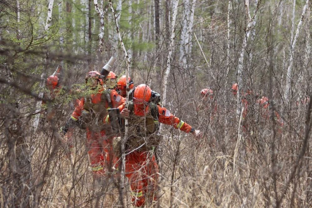 进山入林丨砺精兵,实战演练强战力