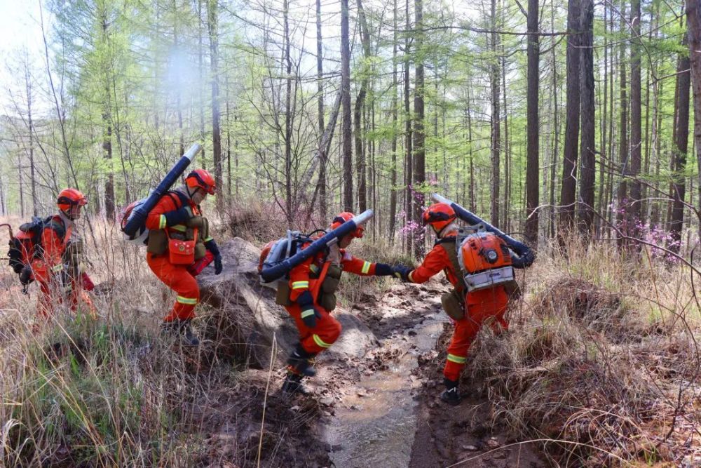 进山入林丨一场实战化训练正在进行!