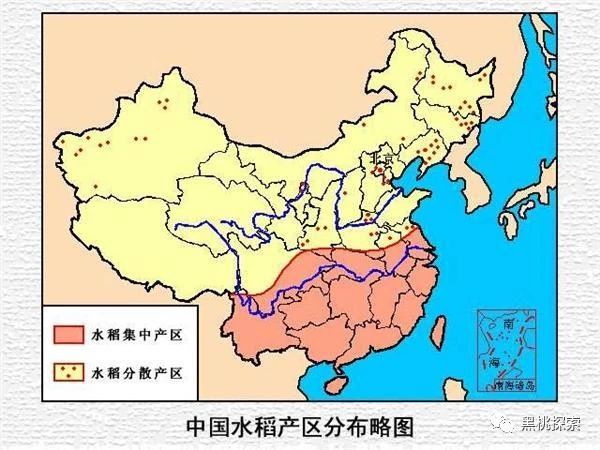 袁隆平的三系杂交水稻技术让粮食产量大增它的原理是什么