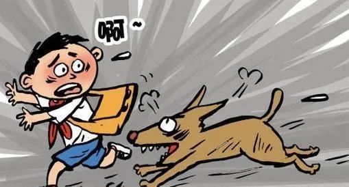 南安一家长带5岁孩子小区玩耍,却遭未栓绳小狗追逐