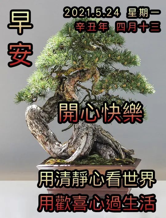 早上好問候語溫馨句子早上好祝福語