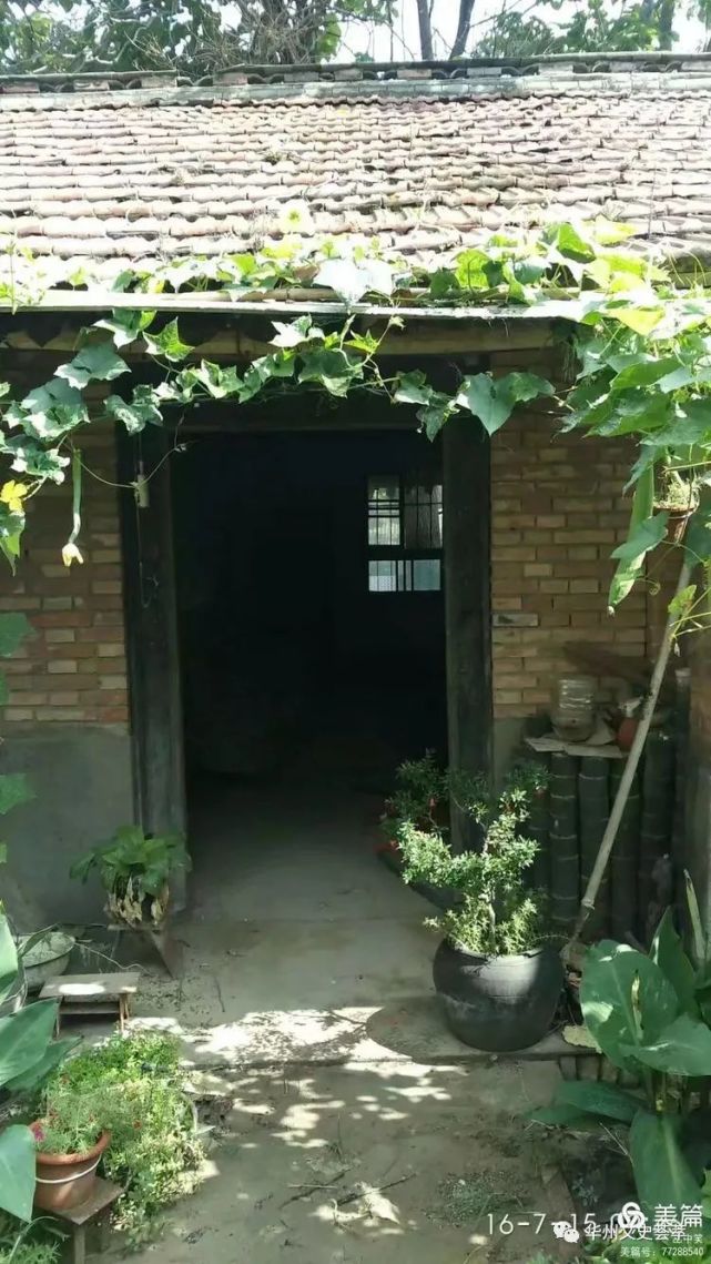 一个华州农民的庭院果菜园