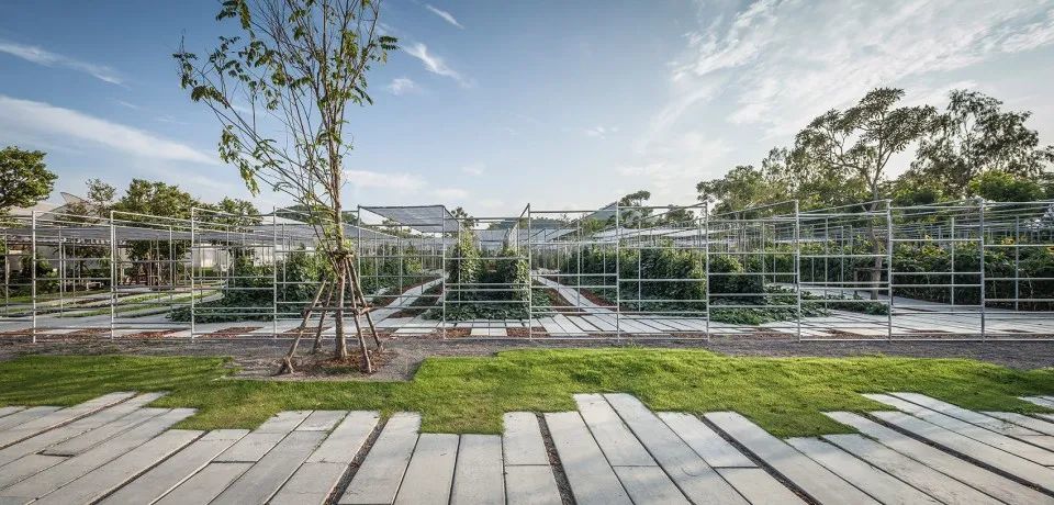 满满的一波屋顶花园案例,高级感up!