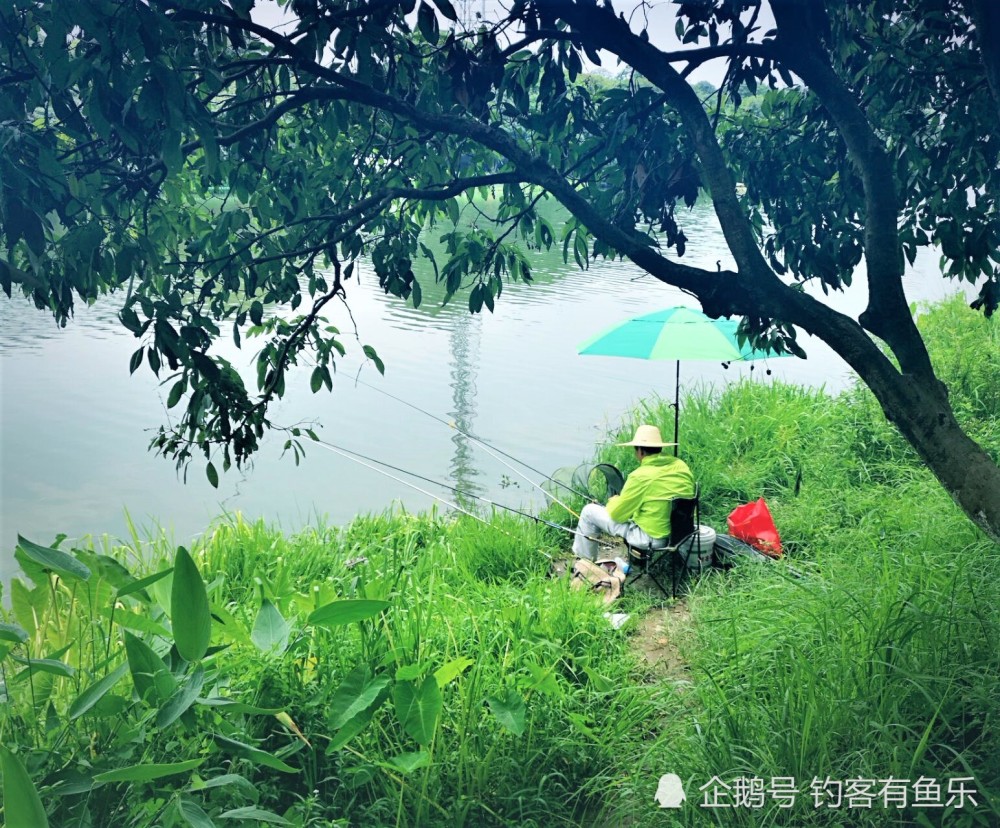 夏天钓鱼的几点经验之谈_腾讯新闻