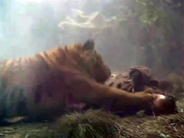 揭秘98版水浒传武松打虎打的是真老虎太特么硬核了