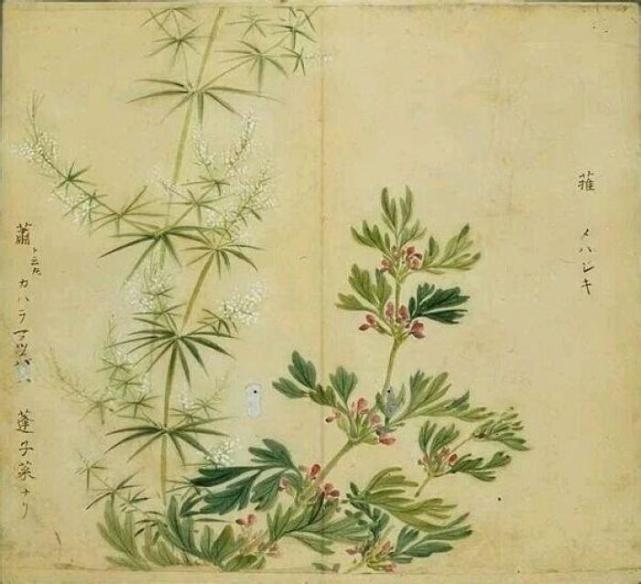 气味小馆王太生
