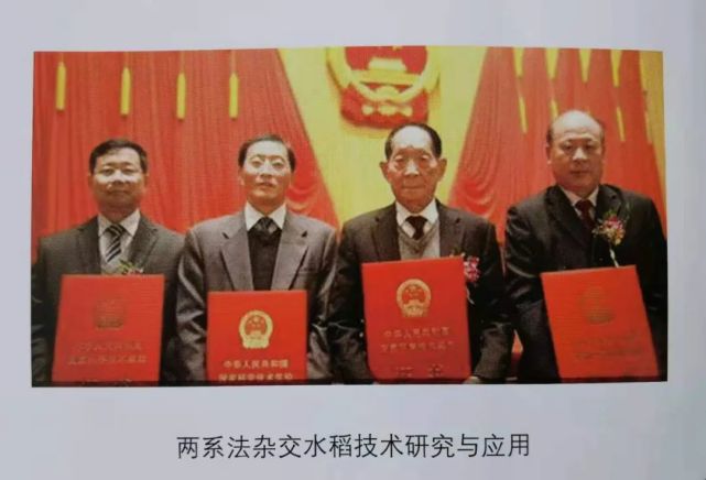 柳暗花明！袁隆平曾这样评价安徽杂交粳稻_腾讯新闻
