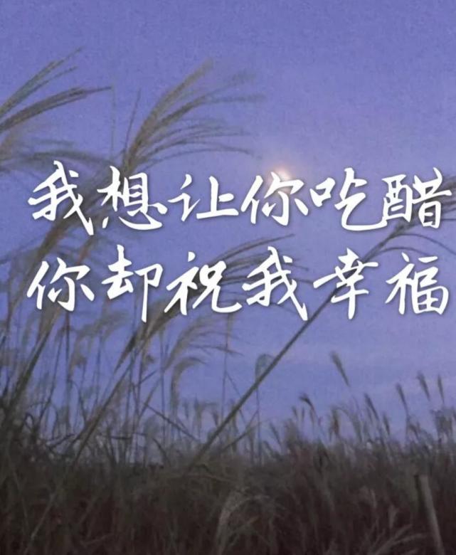 心情不好的图片带字,表达心情低落伤感的句子