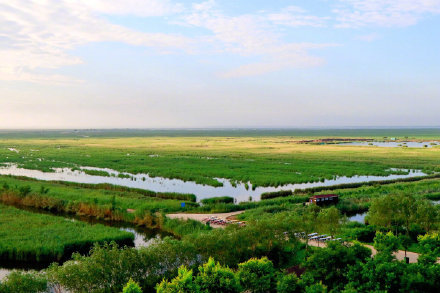 好景推荐南大港湿地风景美如画