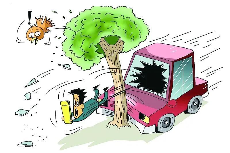 以案说法追赶肇事者撞树致死责任咋分