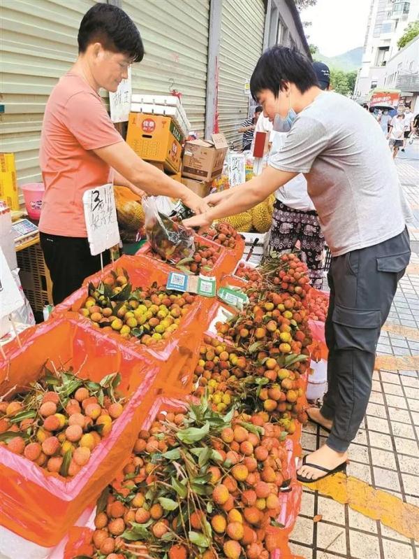 南山荔枝成深圳手信未上市已被预订一空
