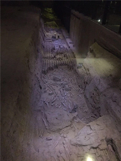 咸阳宫遗址考古出土一堆神秘骨头学者难怪秦国能统一六国